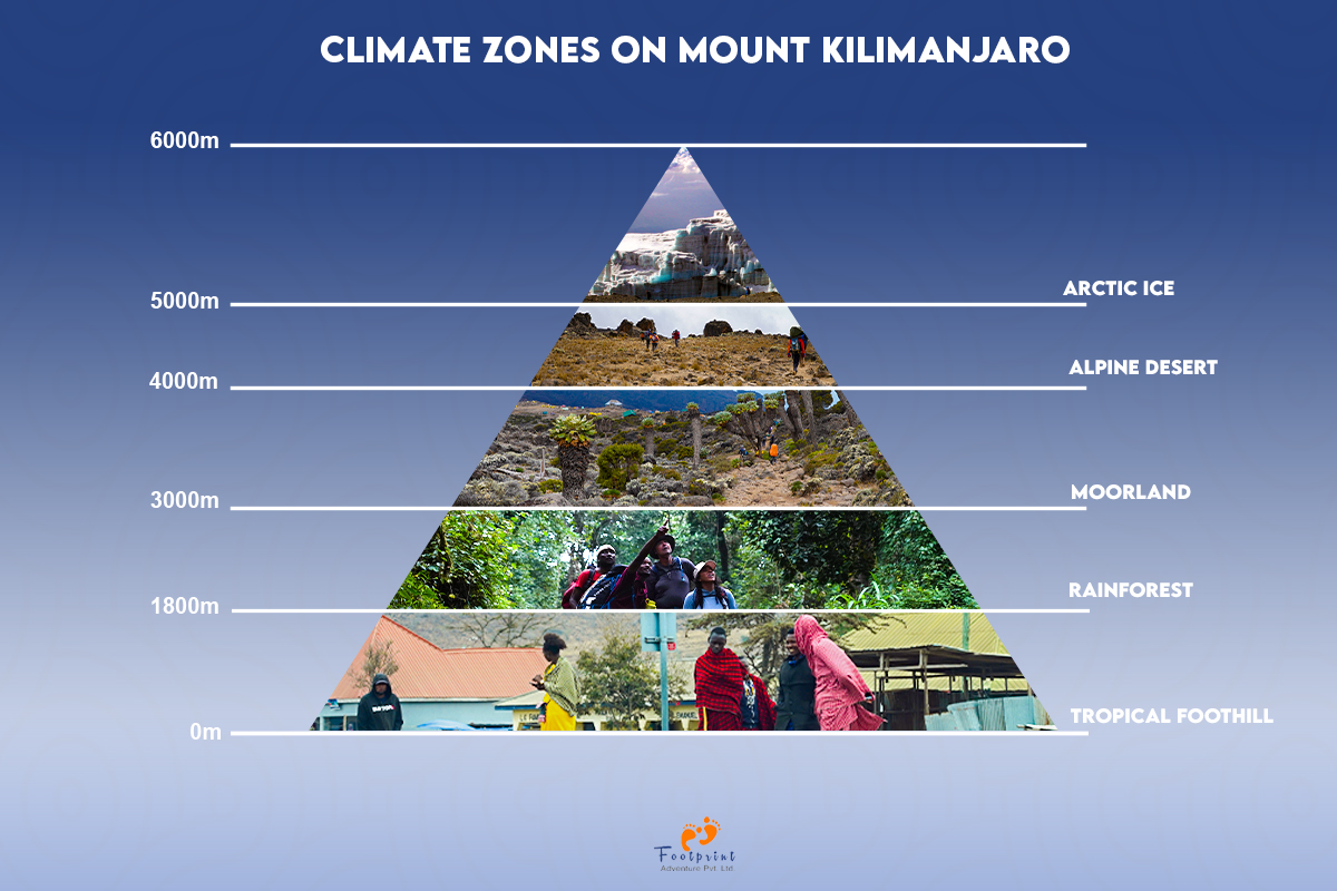 Climatic Zones of Kilimanjaro